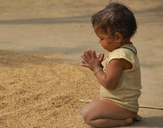 cute toddler praying