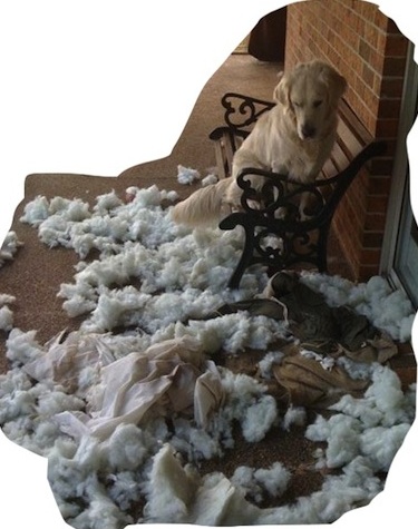 "It wasn't me.  The pillow exploded." http://www.pinterest.com