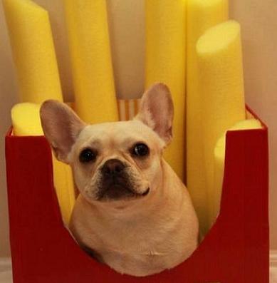 cute dog french fries