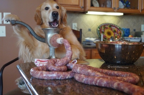 dog making sausages