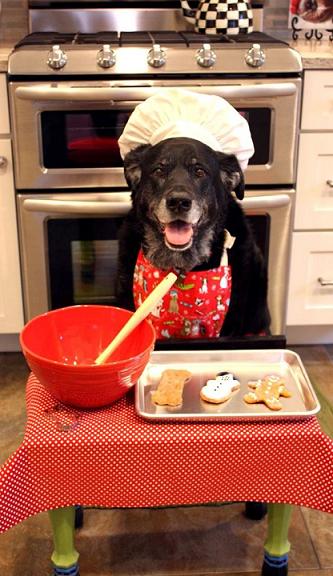 funny dog baking