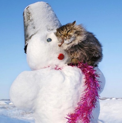 cat with snowman.jpg