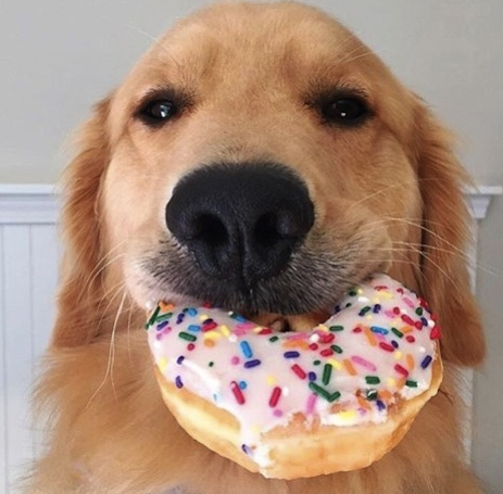 I love donut